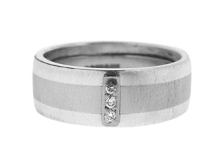 silver and platinum ring