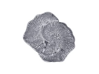 Silver Organic Ring